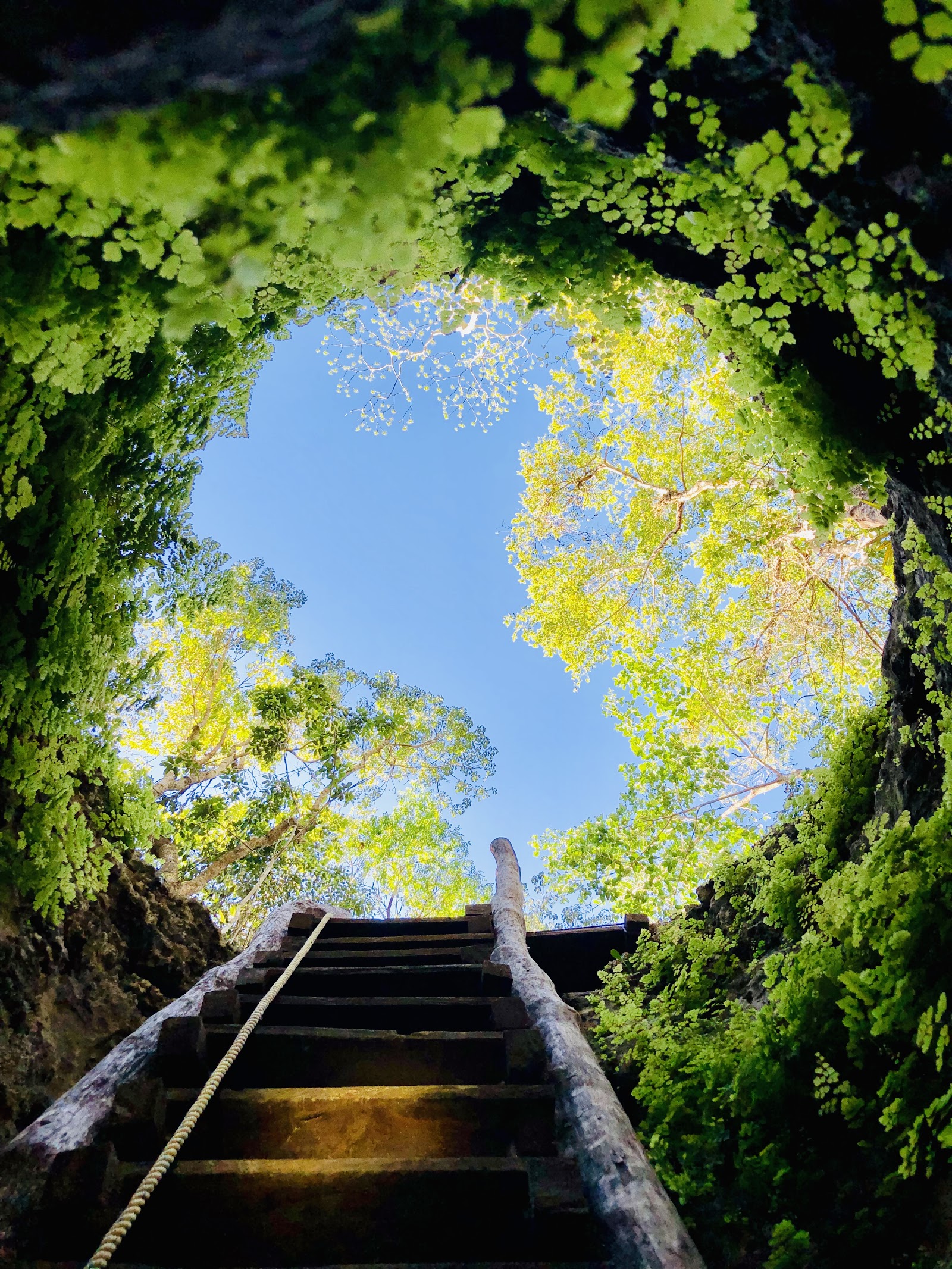 Vesica & Santuario Cenote